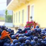Ciabot Delle Aie - * Barolo