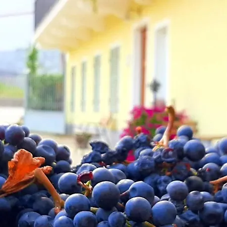 Ciabot Delle Aie - * Barolo