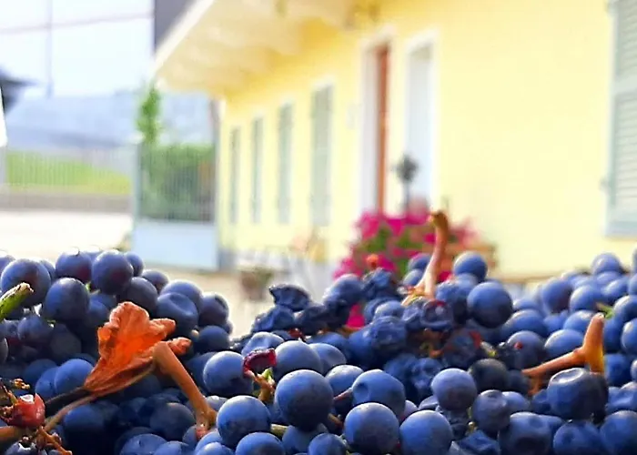 Ciabot Delle Aie - * Barolo